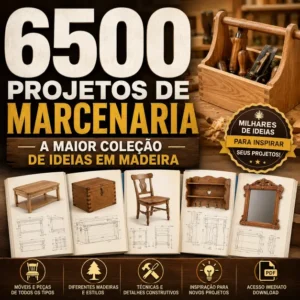 6500 projetos para download